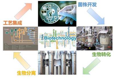 【中粮】生物技术和化学工程技术服务平台