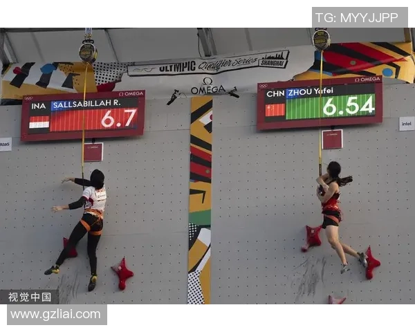 上海攀岩队协作能力分析及其对比赛成绩的影响探讨